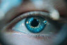 Olhos azuis, Olho azul, Humanos