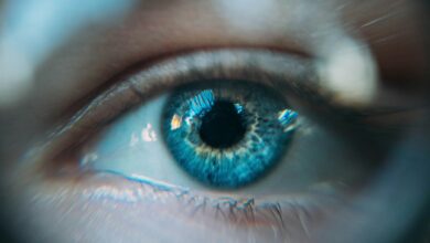 Olhos azuis, Olho azul, Humanos