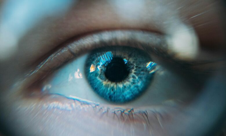 Olhos azuis, Olho azul, Humanos