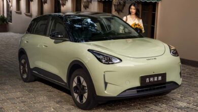 BYD completa seis meses sem nenhum modelo na liderança