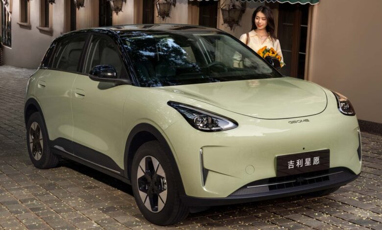 BYD completa seis meses sem nenhum modelo na liderança