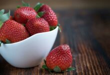 Essas 5 frutas são as melhores do mundo