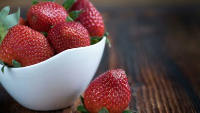Essas 5 frutas são as melhores do mundo