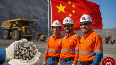 A Aposta Chinesa: Como a Venda do Níquel da Anglo American por US$ 500 Milhões Criou uma Nova Gigante no Brasil