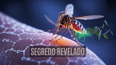 Descubra como ácidos carboxílicos atraem mosquitos, enquanto eucaliptol protege; veja estratégias práticas para reduzir picadas agora.