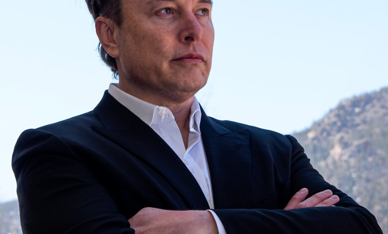 Elon Musk - Minas Gerais