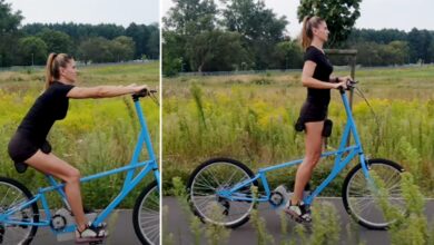 bicicleta, selim