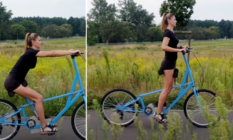 bicicleta, selim