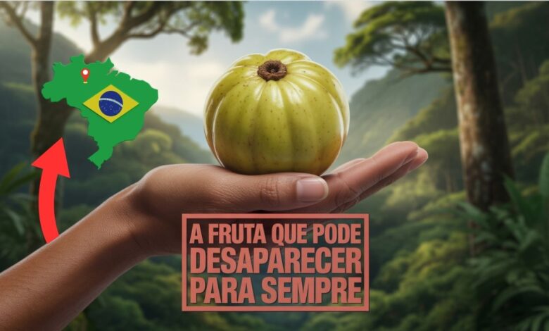 Fruta mais rara do Brasil está ameaçada de extinção e pode desaparecer para sempre em breve