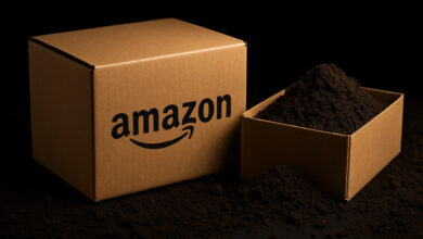 Golpe, Amazon