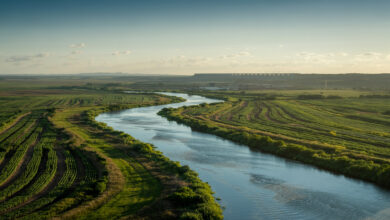 O rio que impulsionou o agronegócio de alta produtividade no Cerrado: com 2.416 km, o Tocantins sustenta hidrelétricas, lavouras bilionárias e é o segundo maior curso d’água 100% brasileiro