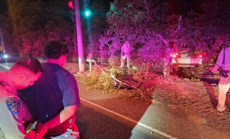Racha em Modesto, Califórnia, termina com Mustang e Camaro apreendidos – Fipe Carros