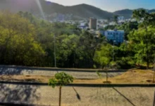 Leucenas e acácias: o verde que virou problema nas encostas da Grande Vitória