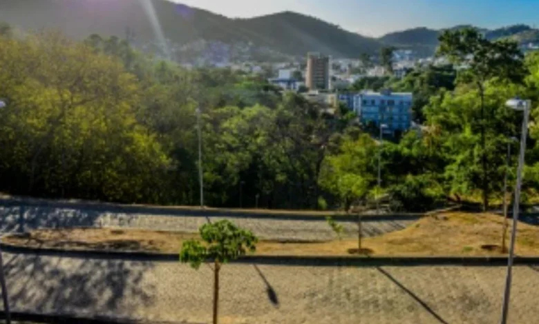 Leucenas e acácias: o verde que virou problema nas encostas da Grande Vitória