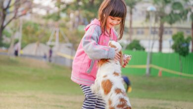 10 raças de cachorro ideais para famílias com crianças