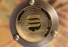 DeFi Development Buys $19 Million In Solana