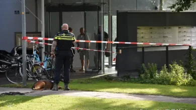 Zwaargewonde na steekpartij, persoon aangehouden door politie