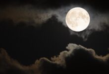 Qual a fase da Lua nesta sexta (11)? Veja o calendário lunar de julho