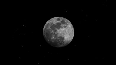 Lua cheia prejudica seu sono? Ciência deu a resposta