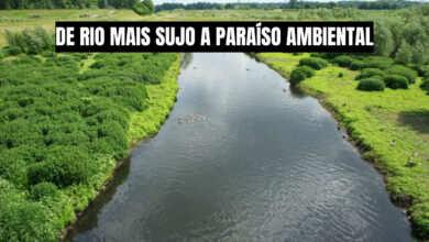 Entenda como a Alemanha o rio mais sujo da Europa em um exemplo mundial de despoluição e recuperação ambiental. Fonte: Shutterstock