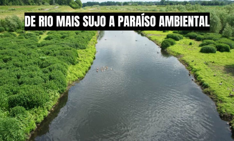 Entenda como a Alemanha o rio mais sujo da Europa em um exemplo mundial de despoluição e recuperação ambiental. Fonte: Shutterstock