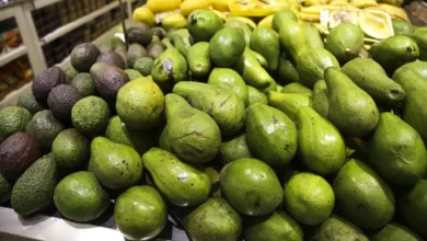 Alimento natural que pode reduzir riscos de doenças graves