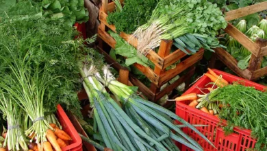 Inclua estes alimentos na dieta para reduzir o risco de câncer