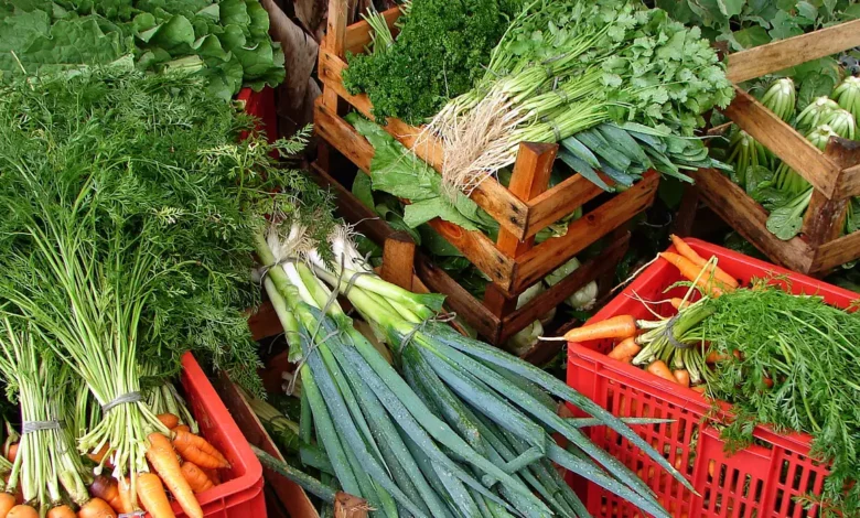 Inclua estes alimentos na dieta para reduzir o risco de câncer