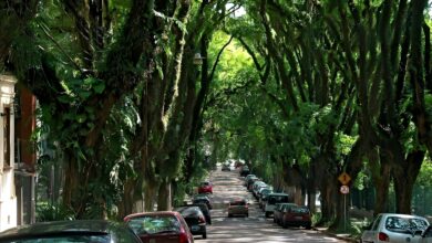 Rua mais bonita do mundo está no Brasil e atrai milhares de turistas