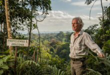 O bilionário sueco que comprou 160 mil hectares da Amazônia no Brasil para protegê-la — e não pretende lucrar com nada disso
