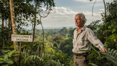 O bilionário sueco que comprou 160 mil hectares da Amazônia no Brasil para protegê-la — e não pretende lucrar com nada disso