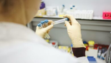 Brasil avança em pesquisa de vacina contra gripe aviária