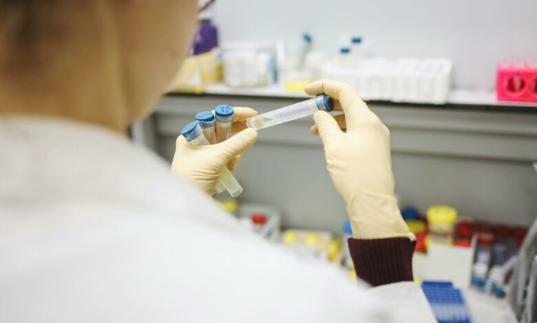 Brasil avança em pesquisa de vacina contra gripe aviária