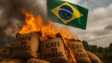 Brasil queimou 78 milhões de sacas de café para salvar a economia! Uma medida radical que até hoje choca quem descobre essa história real