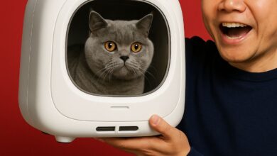 Caixa de transporte pet da Xiaomi esgota após viralizar com SUV elétrico YU7
