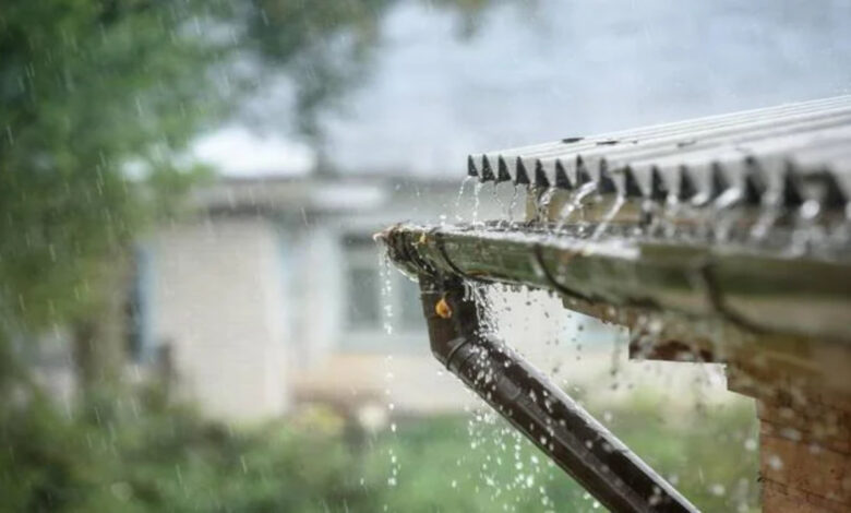 Água de graça caindo do céu: captar a chuva com tecnologia sustentável reduz a conta em até 50% e ajuda o meio ambiente