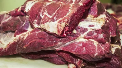 Qual a carne que mais aumenta o tamanho dos seus músculos?