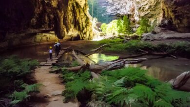 Cavernas do Peruaçu estão prestes a virar Patrimônio Mundial da Unesco — e podem colocar o Brasil de volta no foco da conservação global