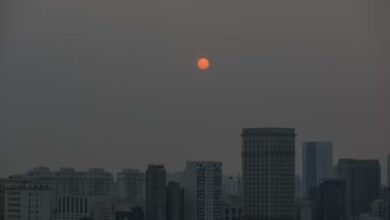O dia em que o céu de São paulo escureceu a ciência por trás do fenômeno que trouxe a noite Amazônica para a metrópole