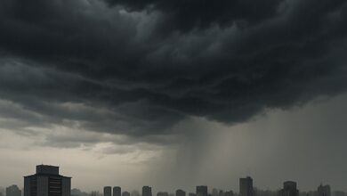 chuva preta, desequilibrio ambiental, queimadas