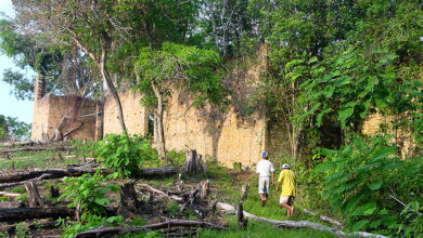 Cidade engolida pela floresta reaparece no Amazonas