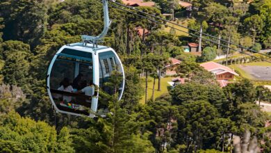Descubra por que Campos do Jordão, a cidade mais alta do Brasil, encanta turistas com clima europeu, gastronomia e paisagens surpreendentes.