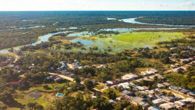 A maior cidade do mundo onde não se chega por estrada está na América do Sul: meio milhão de pessoas vivem isoladas em plena floresta