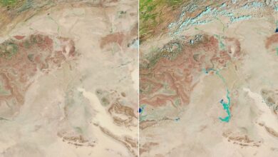 consequências da crise climática no Brasil