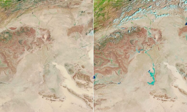 consequências da crise climática no Brasil