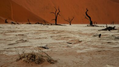 Cientistas alertam para o fim do ar que respiramos na Terra