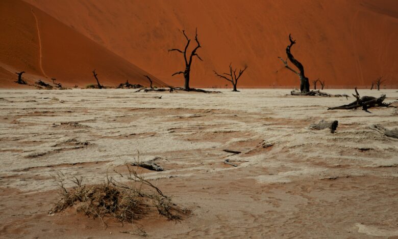 Cientistas alertam para o fim do ar que respiramos na Terra