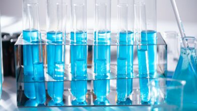 Nova bactéria descoberta pelos cientistas pode mudar a ciência