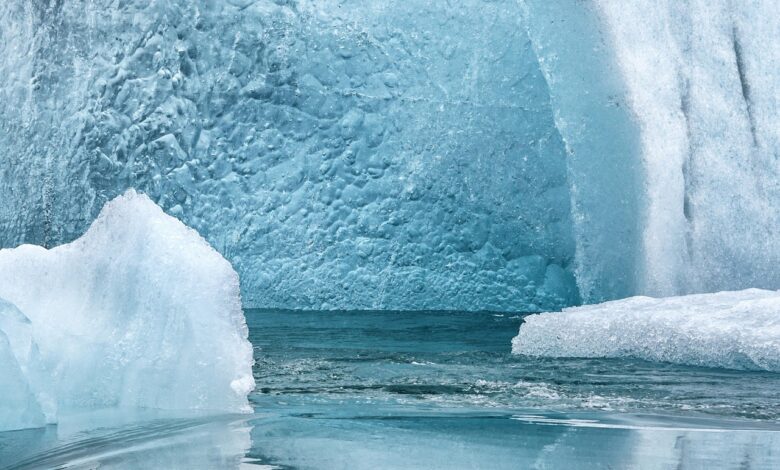 Cientistas ressuscitaram criatura pré-histórica após 46 mil anos