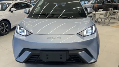 Quanto custa manter o BYD Dolphin Mini 2026? Veja seguro e revisões em julho